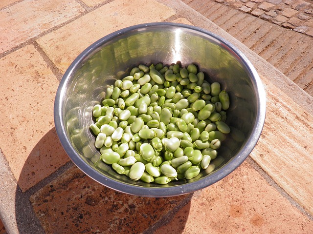 枝豆やそら豆に含まれる葉酸の量