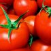 トマトやトマトジュースから葉酸は摂取できるか？